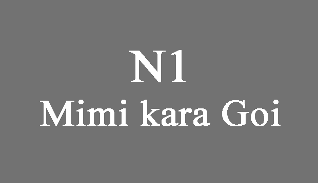 Mimi kara Oboeru Goi N1